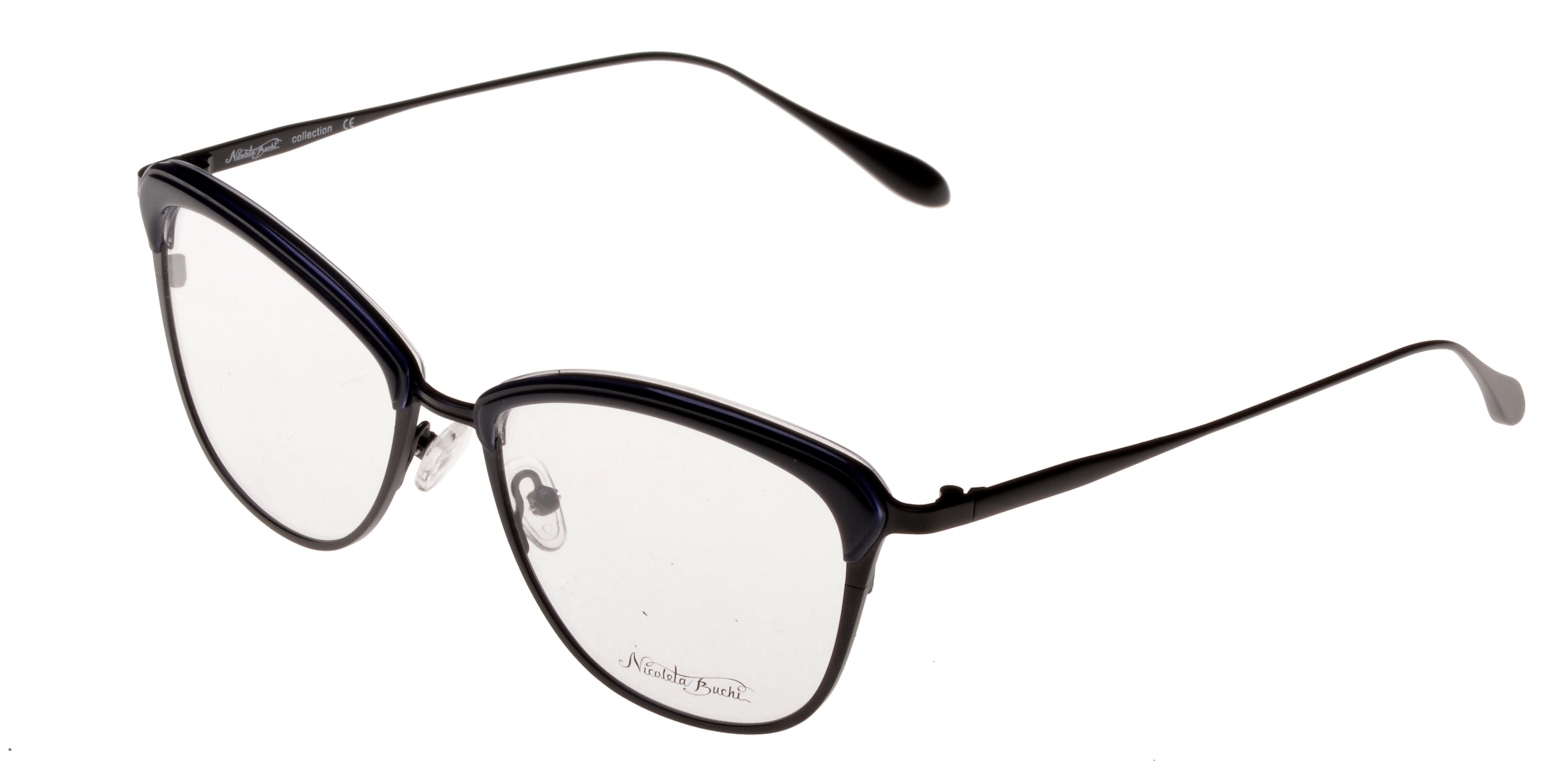 Nicoleta Buchi 410 02