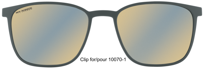 Roy Robson 10070 clip 101 54/18