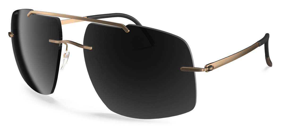 Silhouette 8739 7630 00/00