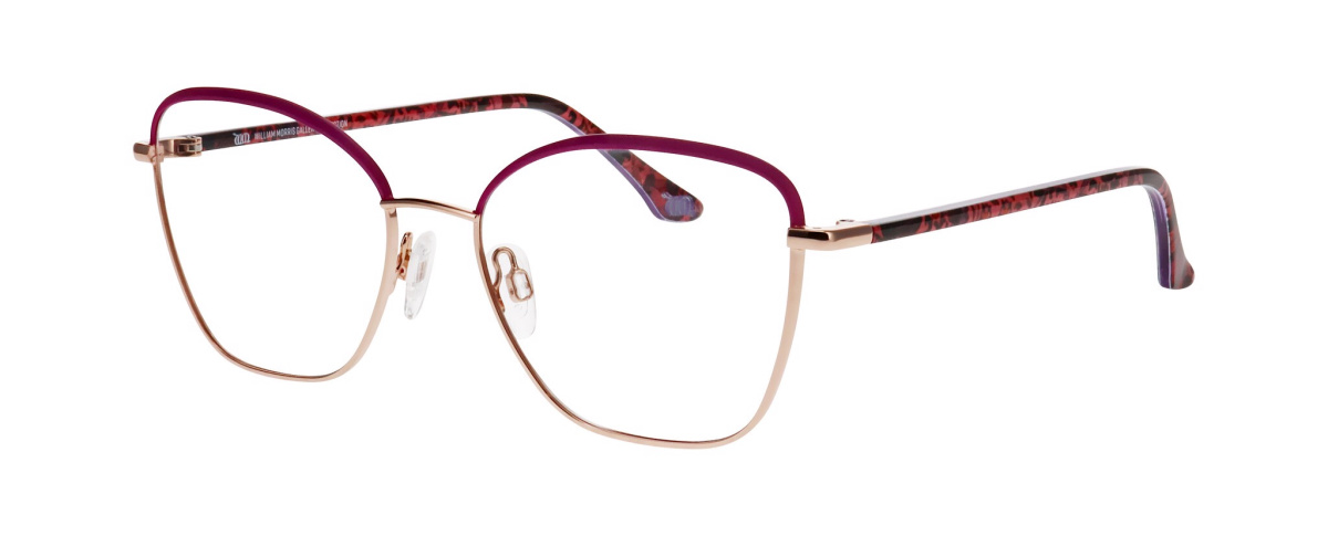 William Morris Gallery 70011 3821 54/17