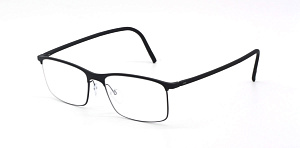 Silhouette 2988 75 9040 54/18