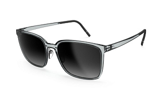 Silhouette 4088 6510 00/00