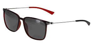 Jaguar 37625 2100 56/15