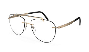 Sil RaffinementDesMatieres L007 NF 7525 55/17