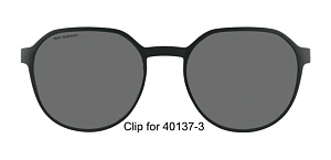 Roy Robson 40137 clip 103 52/20 SG