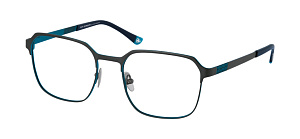 Roy Robson 40113 001 55/19