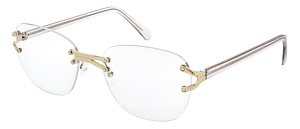 Andy Wolf Bok 05 55/17