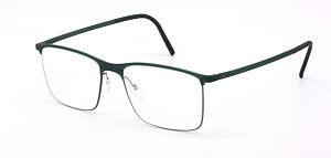 Silhouette 2987 75 5540 54/18