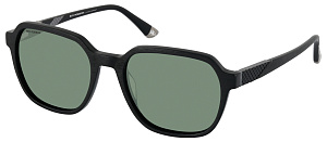 Roy Robson 70123 003 55/19 SG