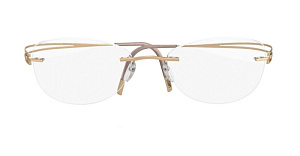 Silhouette Light Attraction 2 4469 6051