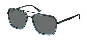 Roy Robson 70111 001 57/17 SG