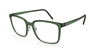 Silhouette 2973 75 5630 55/18