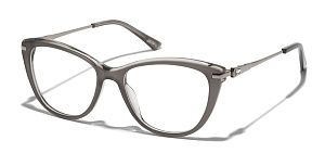 Revlon 2008 12 53/17