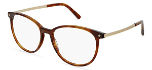 Rodenstock 5347 D