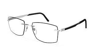 Sil RaffinementDesMatieres L008 NH 7005 57/19