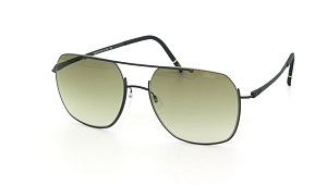 Silhouette 8749 5540 00/00