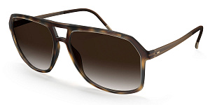 Silhouette 4080 6330 00/00