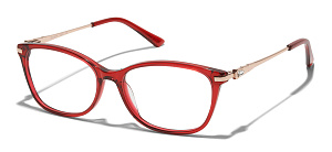 Revlon 2009 06 54/16