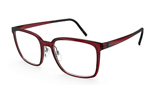 Silhouette 2973 75 3060 53/18