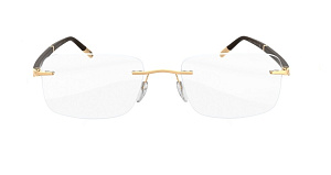 Silhouette Hinge C2 5424 6051