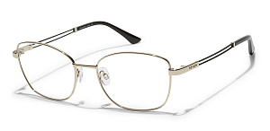 Revlon 2018 01 53/17