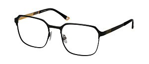 Roy Robson 40113 002 55/19