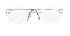 Silhouette Light Attraction 2 4490 6053