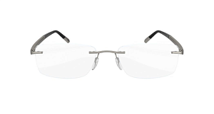 Silhouette Hinge C2 5423 6050