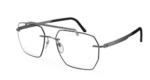 Sil RaffinementDesMatieres L007 NE 6565 58/17