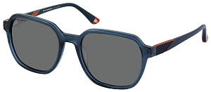 Roy Robson 70123 002 55/19 SG