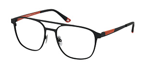 Roy Robson 40134 002 55/19