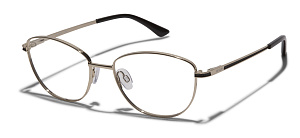 Revlon 2000 01 54/17